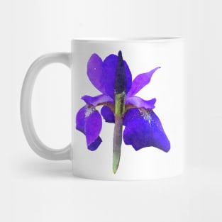Purple Iris Flower Blue Mug